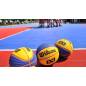 Ballon de Basket Fiba 3x3 Officiel Wilson