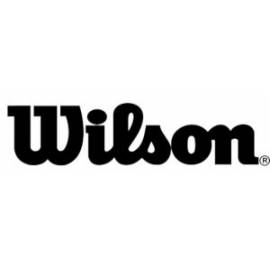 Ballon de Basket Fiba 3x3 Officiel Wilson