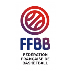 Ballon de Basket Fiba 3x3 Officiel Wilson