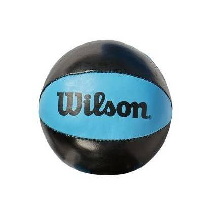 Mini panier de basket Fanatic Wilson