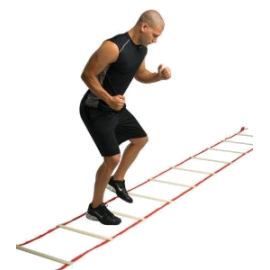Echelle d'entraînement