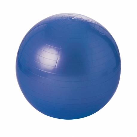 Gymaball pour équilibre