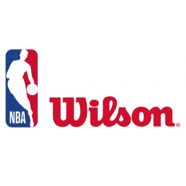 NBA Team Mini Hoop Lakers Los Angeles