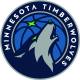Ballon de basket Wilson NBA Minnesota Timberwolves