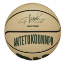 Mini ballon de basket NBA Player Icon Giannis