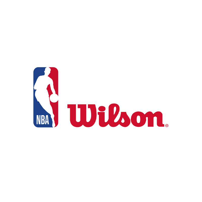 Mini ballon NBA rose Wilson