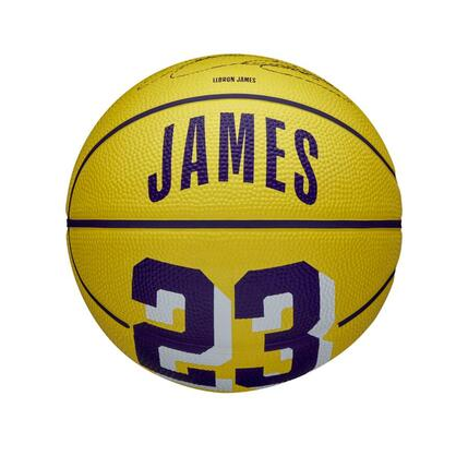 Mini ballon de basket NBA Player Icon Lebron James