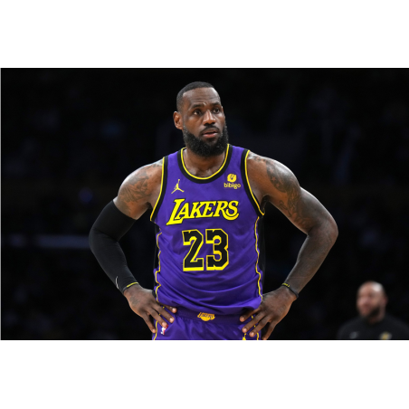 Mini ballon de basket NBA Player Icon Lebron James Mini ballon de basket NBA Player Icon Lebron James