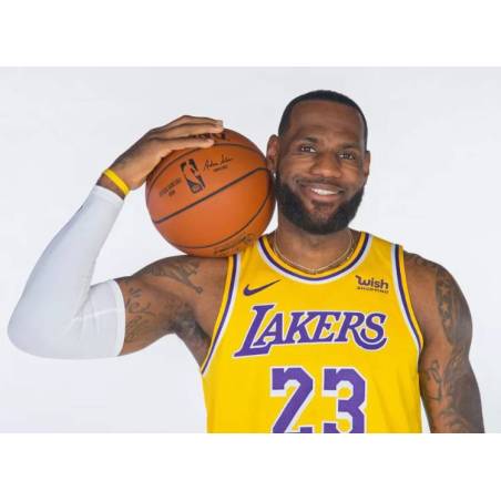 Mini ballon de basket NBA Player Icon Lebron James Mini ballon de basket NBA Player Icon Lebron James