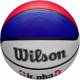 Balle de basket Wilson NBA junior