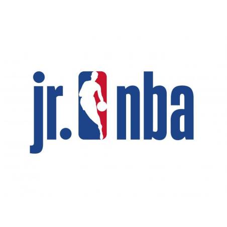 Ballon de basket JR NBA DRV light fam logo Ballon de basket JR NBA DRV light fam logo