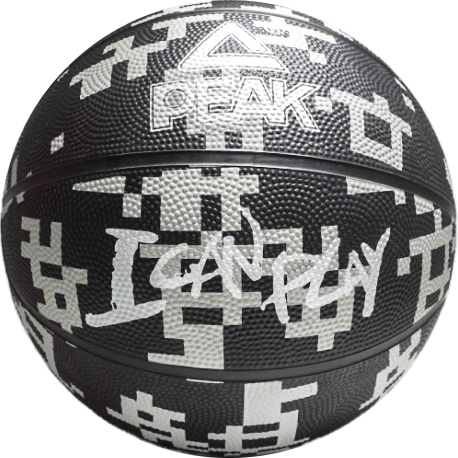 Ballon de basket I Can Play Noir-Gris