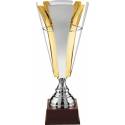 Coupes basket